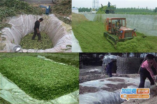 青储饲料加盟费