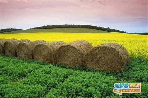 青储饲料加盟费