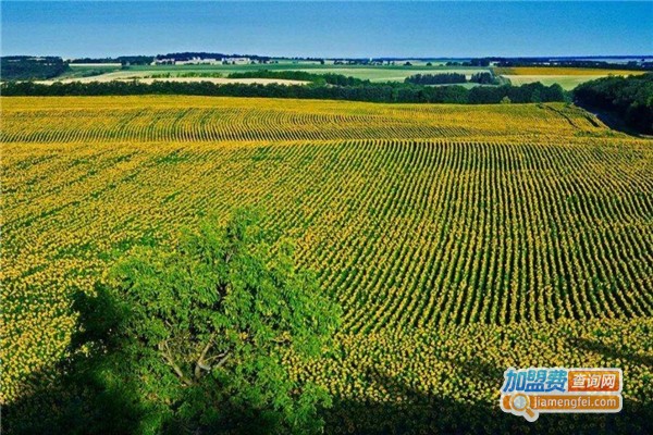 青储饲料加盟费