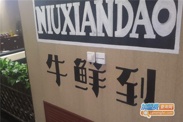 牛鲜到火锅加盟费