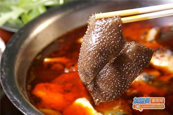 小牛仔涮毛肚加盟费