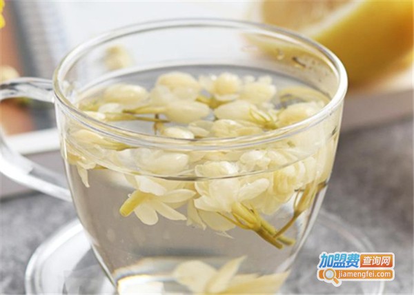 杯语茶愿加盟费