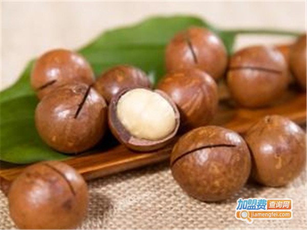 每栗坚果加盟费