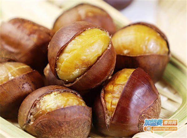 每栗坚果加盟费