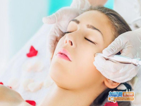 诗靓雨祛斑加盟费