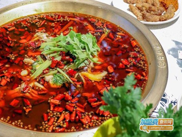 舟小渔火锅加盟费