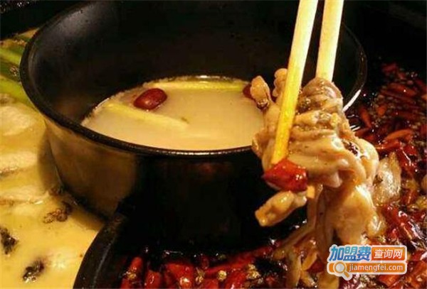 泡泡对味火锅加盟费