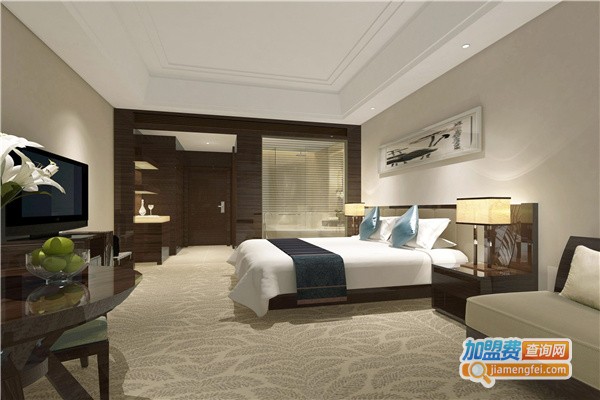 萨维尔颐舍酒店加盟