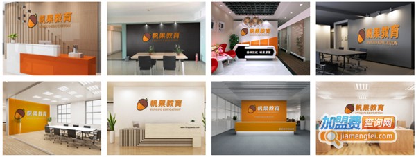 帆果教育加盟费