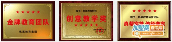 帆果教育加盟费