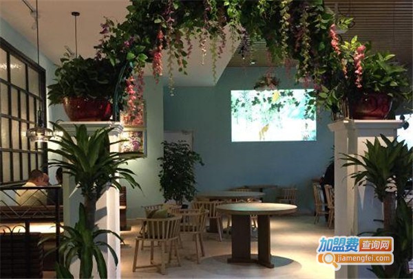 大椰小馆加盟费