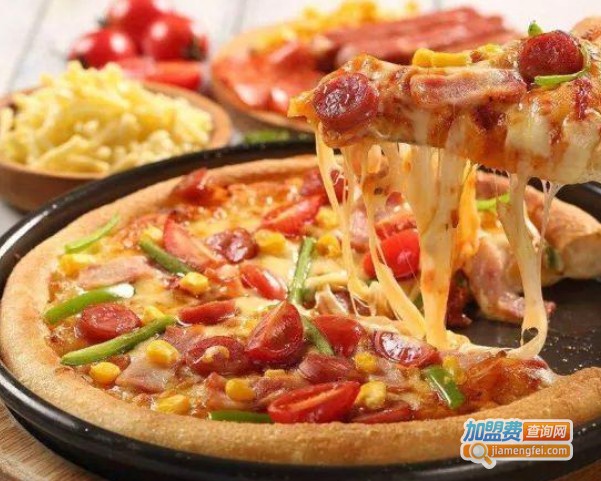 杨侯将帅9块9披萨加盟费