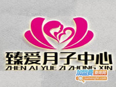 臻爱月子会所加盟费