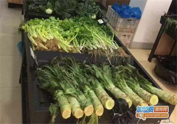 清美鲜家加盟费