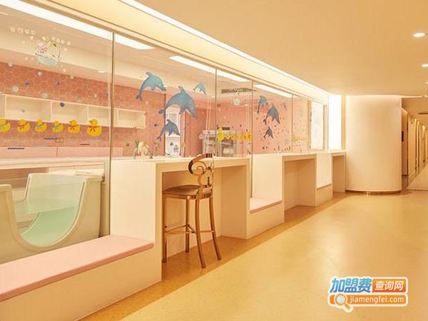 Q考拉月子中心加盟费