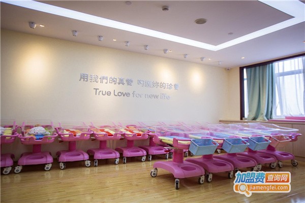 臻爱月子会所加盟