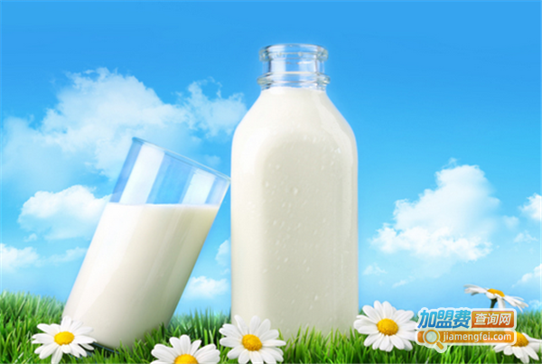 蒙小白鲜奶吧加盟费