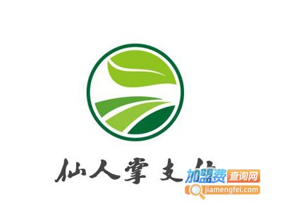 仙人掌支付加盟费