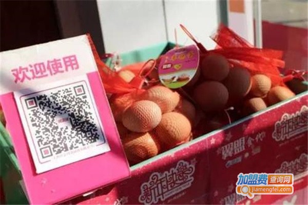 翼支付代理费用