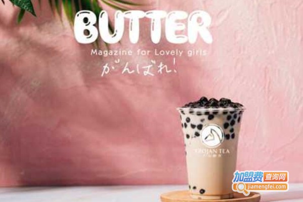 木马醇茶加盟费