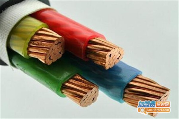 金杯电工加盟费