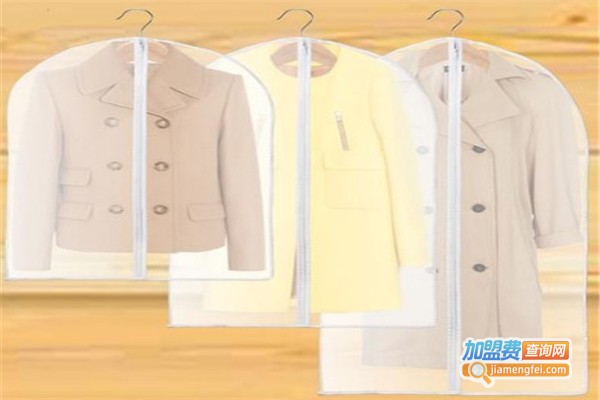 爱丽洗衣加盟费