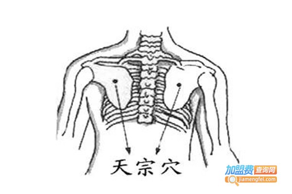 经络丰胸加盟费