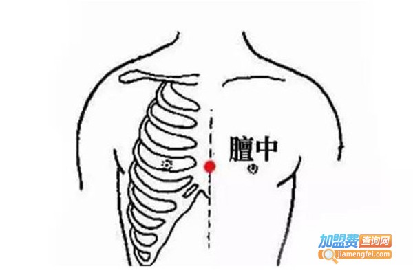 经络丰胸加盟费