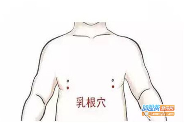 经络丰胸加盟费