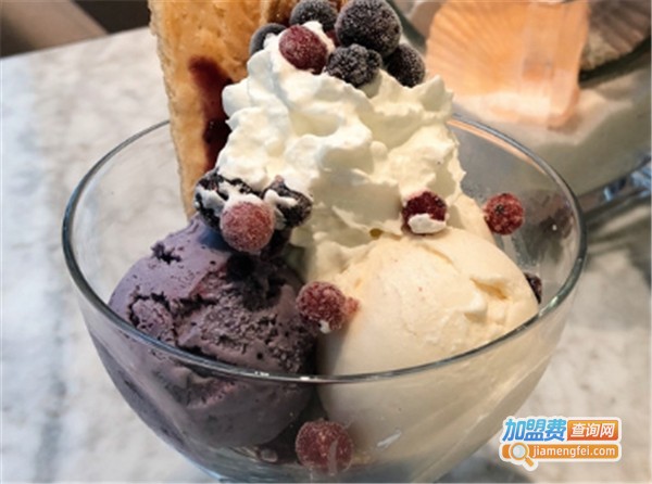 泰囧泰国风味冰淇淋加盟费