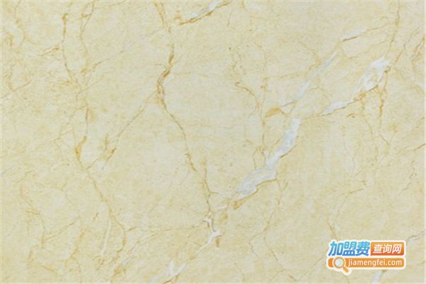 森尼瓷砖加盟费