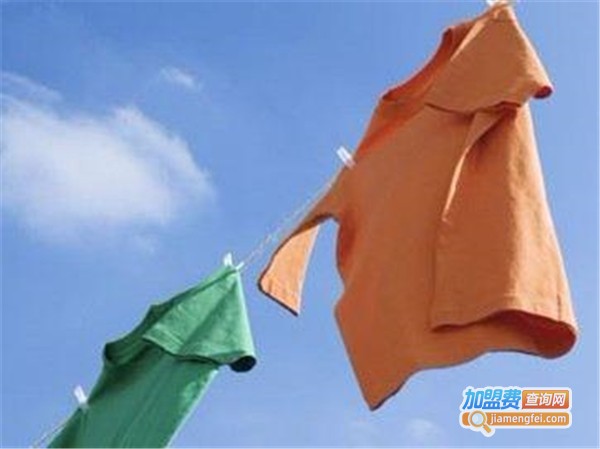 金马干洗加盟费