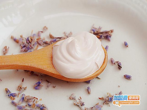 黛怡露尔加盟费