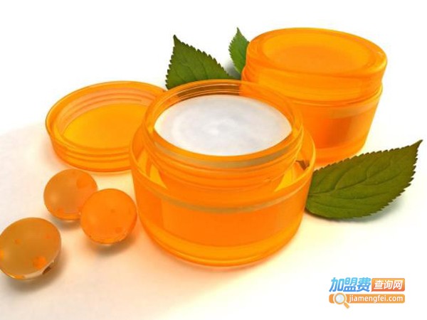 黛怡露尔加盟费