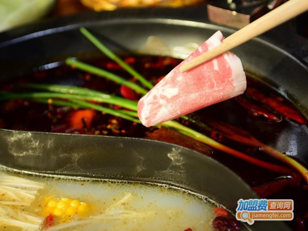 红灯笼火锅加盟费