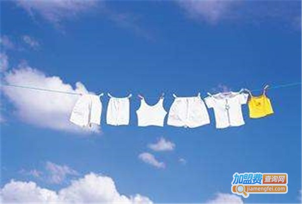 苏康洗衣加盟费