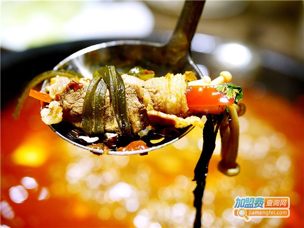 钟阿婆小盅盅老火锅加盟费