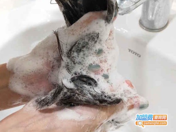 宫健飘中草药洗头店加盟费