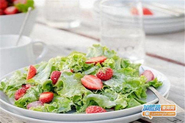 沙拉游记加盟费