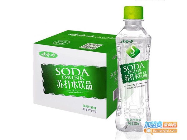 娃哈哈气泡水加盟费