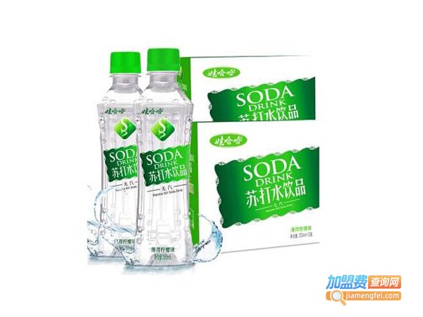 娃哈哈气泡水加盟费