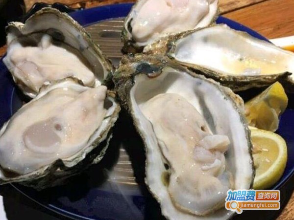 串入蚝门加盟费