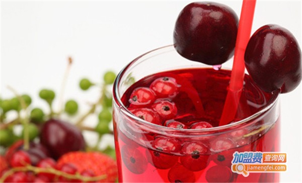 koco快の客加盟费