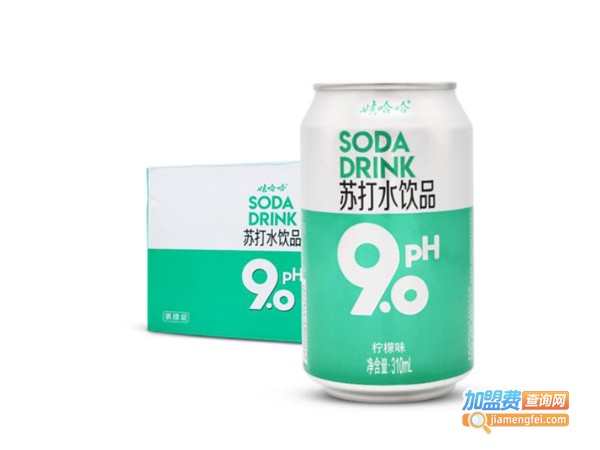 娃哈哈气泡水加盟费