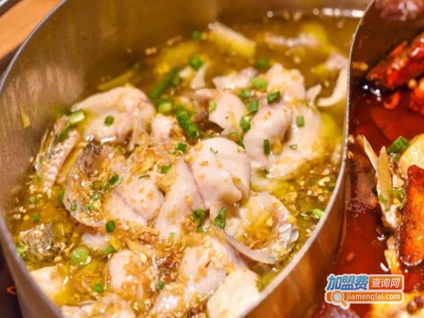 一锅鱼火锅加盟费