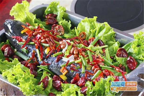 全鱼道大缸烤鱼加盟