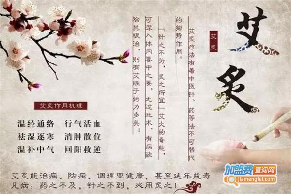 养生艾灸加盟费