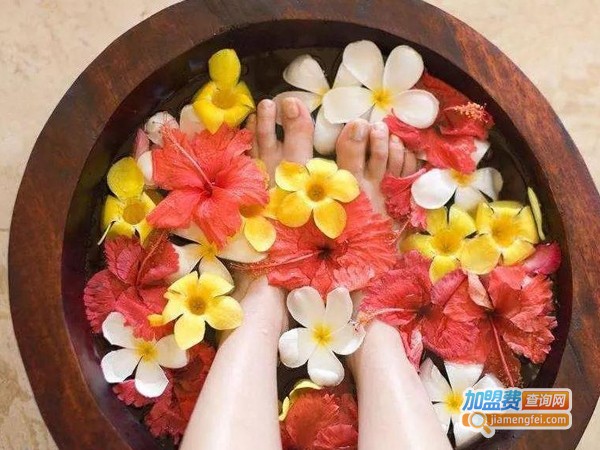 养生足疗加盟费