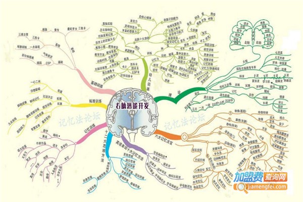 右脑开发机构加盟费