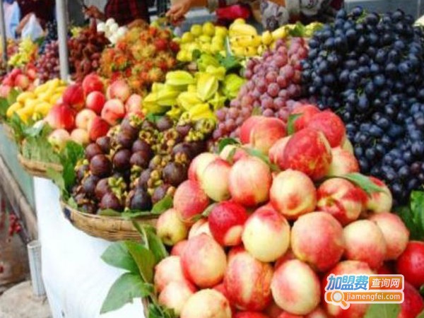 贵客隆水果加盟费